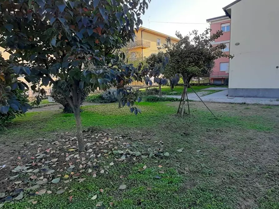 Immagine 1 di Casa indipendente in vendita  in via Silvio Pellico a San Giovanni Lupatoto