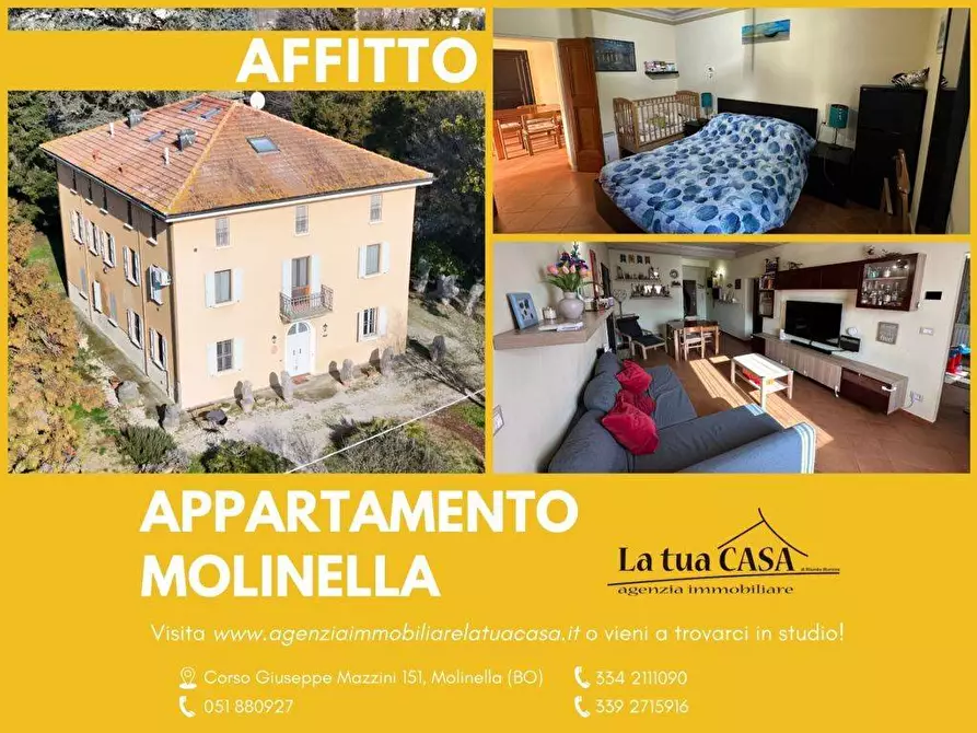 Immagine 3 di Appartamento in affitto  a Molinella