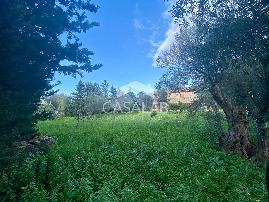 Immagine 25 di Villa in vendita  in Via Giacarta a Carini