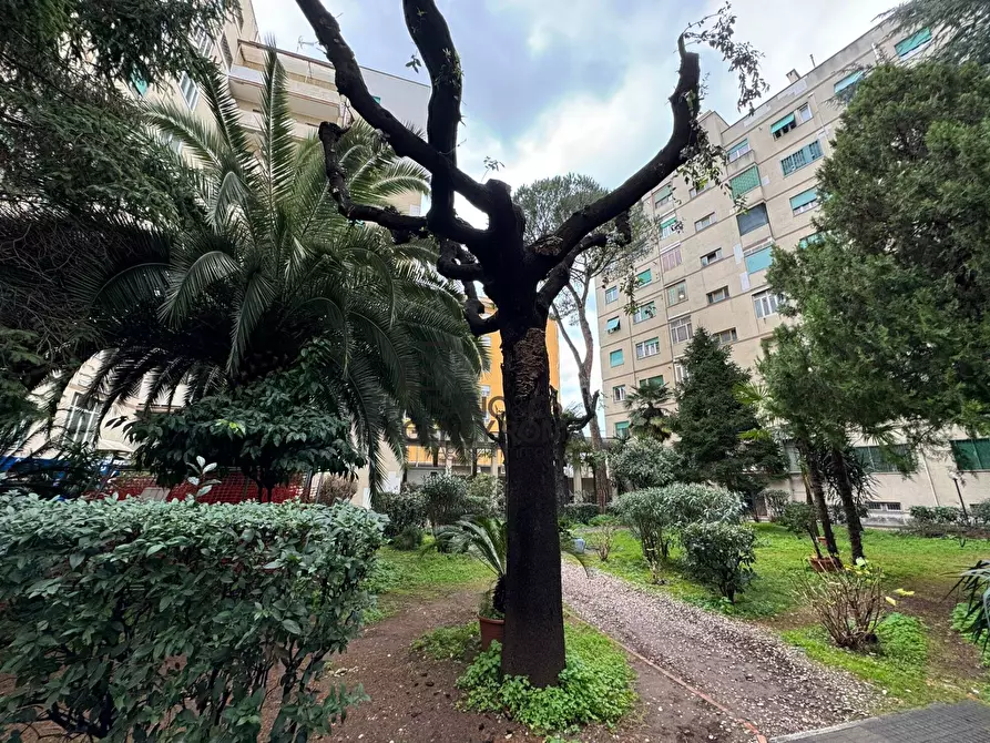 appartamento in vendita a Roma in zona Appio Claudio