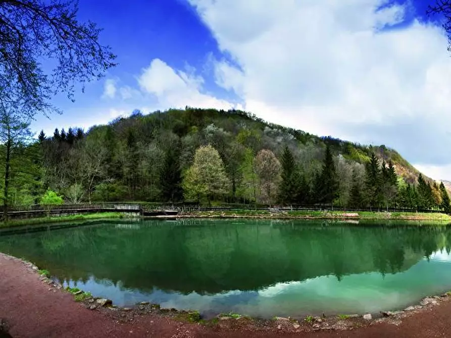 Immagine 17 di Attività commerciale in vendita  in Via Valganna a Valganna