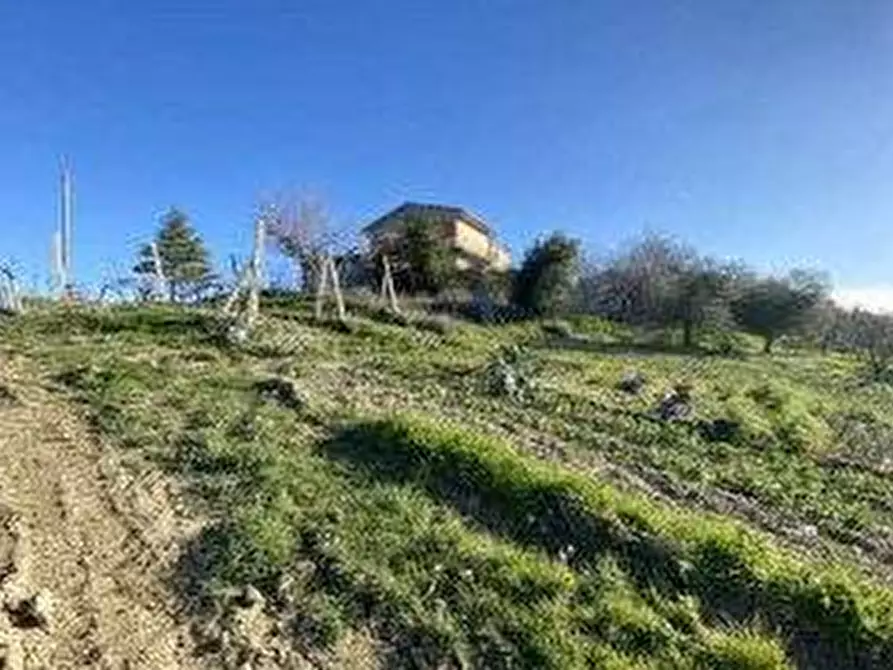 Immagine 2 di Rustico / casale in vendita  a Offida