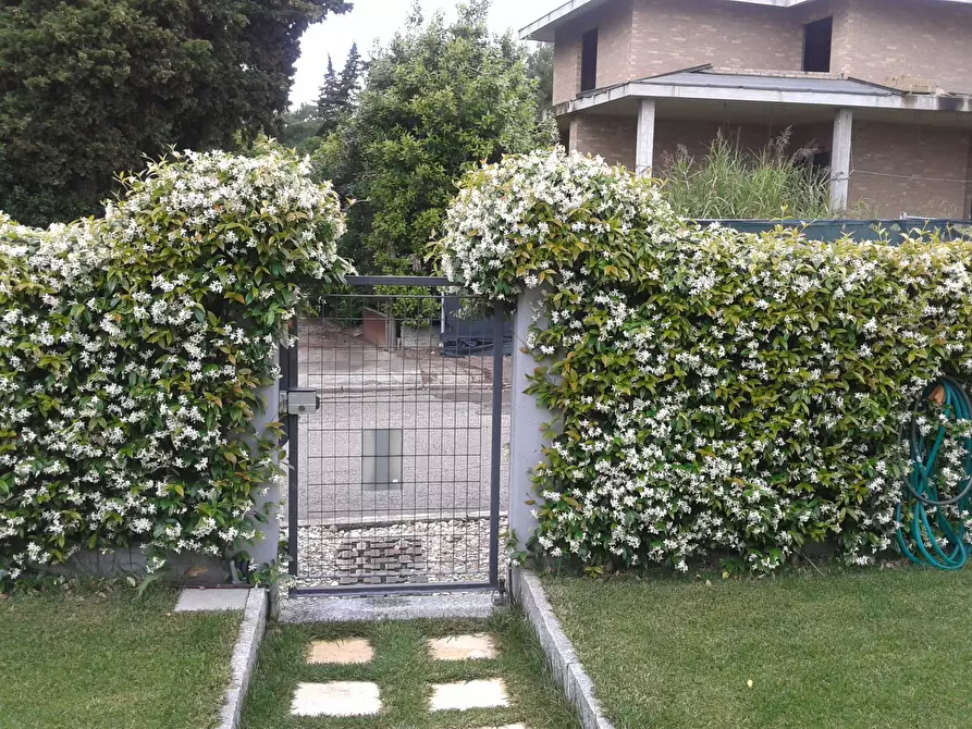 Immagine 3 di Villetta a schiera in vendita  a Pedaso