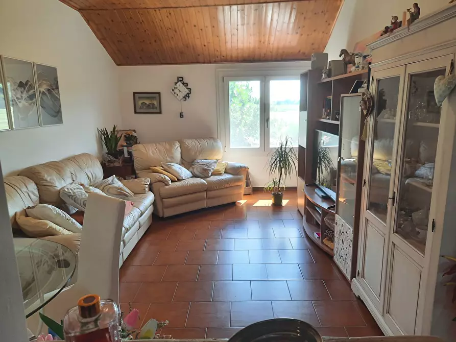 Immagine 13 di Villa in vendita  in via del parco a Ferrara