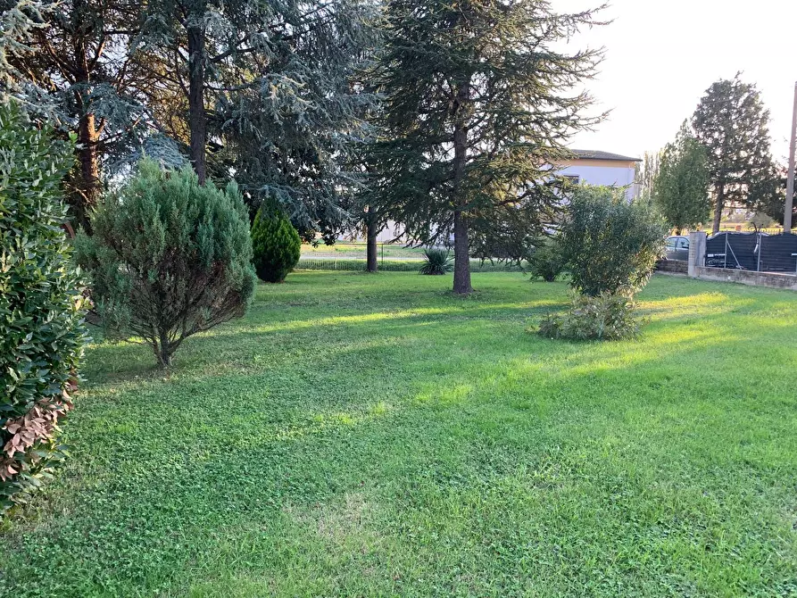 Immagine 3 di Terreno residenziale in vendita  in Via Ponte a Ferrara