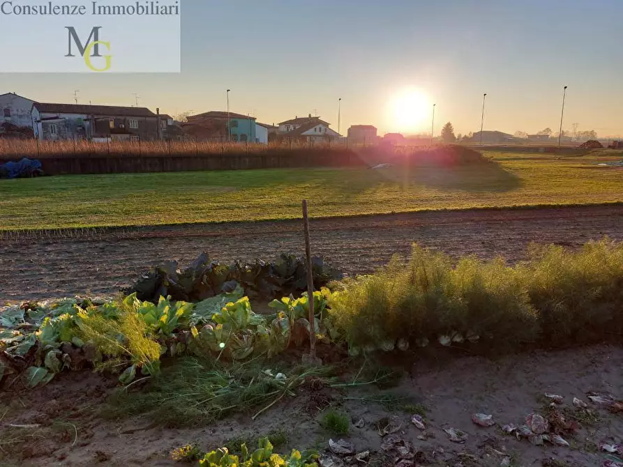 Immagine 2 di Terreno residenziale in vendita  a San Bonifacio