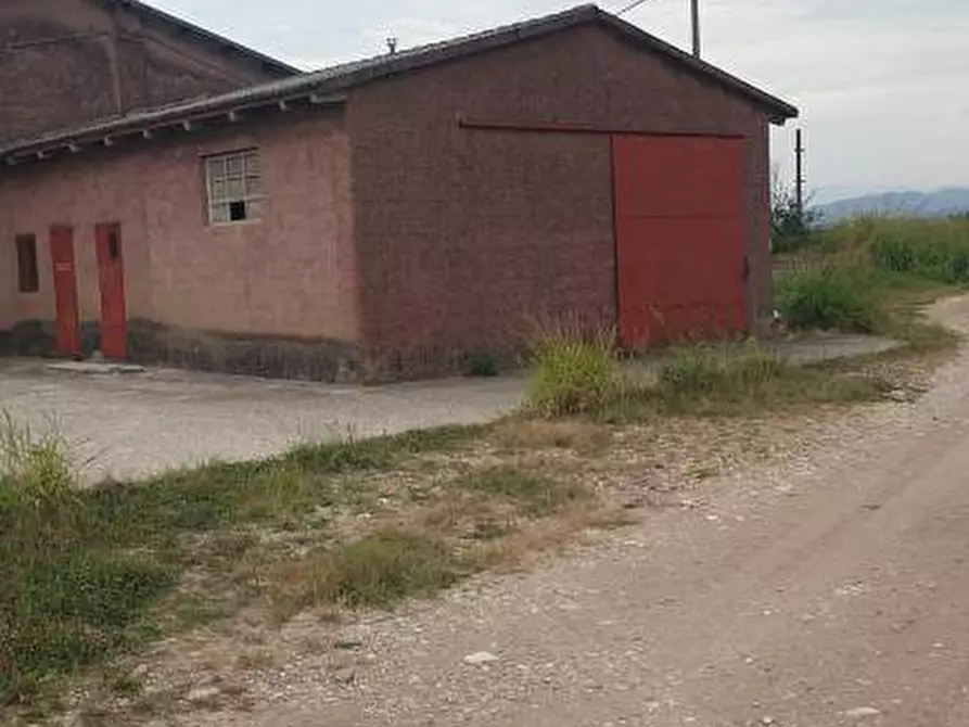 Immagine 3 di Terreno agricolo in vendita  a Belfiore