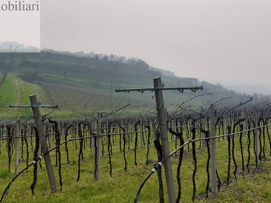 Immagine 3 di Terreno agricolo in vendita  a Colognola Ai Colli