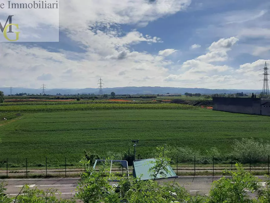 Immagine 5 di Terreno agricolo in vendita  a San Bonifacio