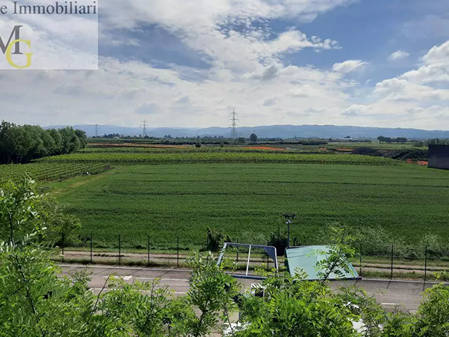 Immagine 6 di Terreno agricolo in vendita  a San Bonifacio