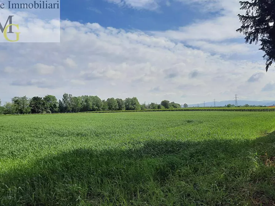 Immagine 7 di Terreno agricolo in vendita  a San Bonifacio