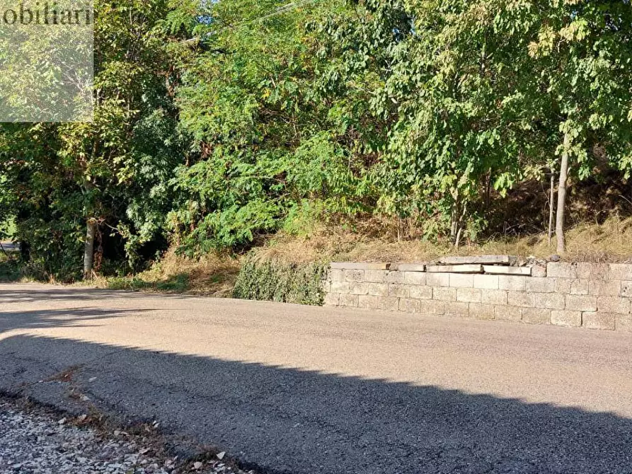 Immagine 1 di Terreno agricolo in vendita  a Vestenanova