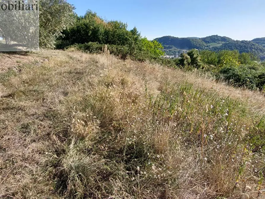 Immagine 1 di Terreno agricolo in vendita  a Vestenanova