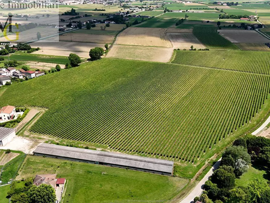 Immagine 1 di Terreno agricolo in vendita  a Poiana Maggiore