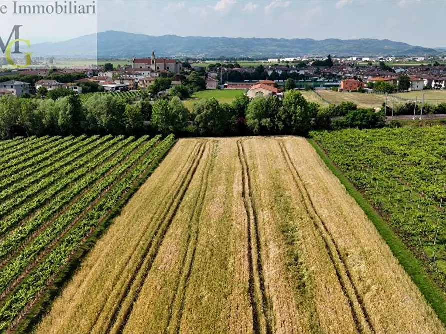 Immagine 2 di Terreno agricolo in vendita  a San Bonifacio