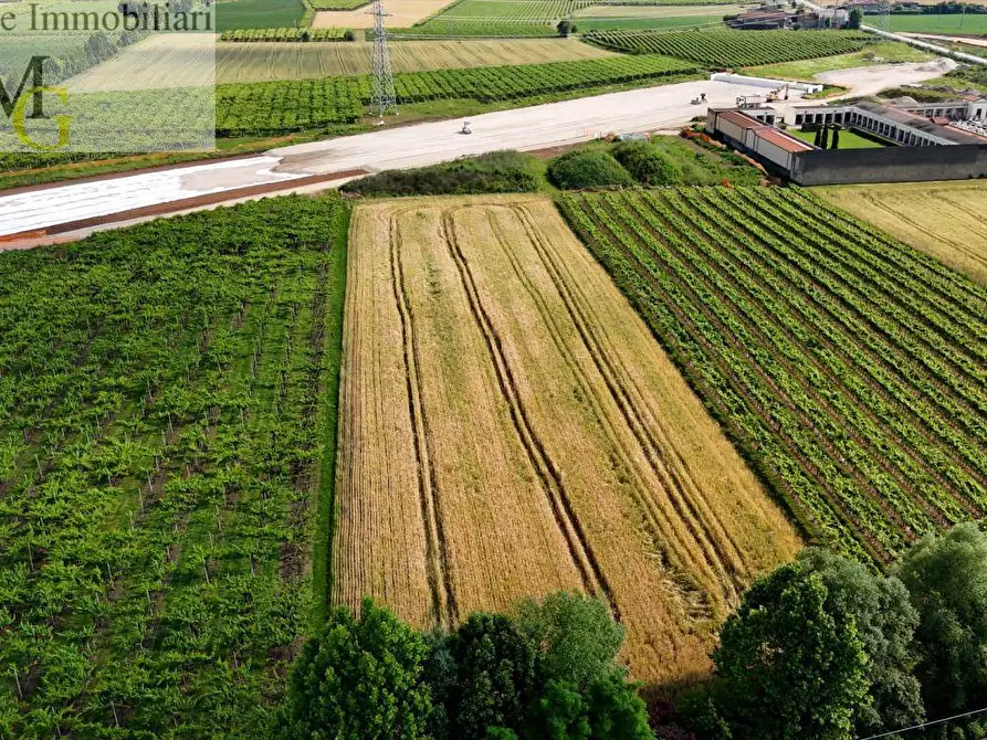 Immagine 9 di Terreno agricolo in vendita  a San Bonifacio