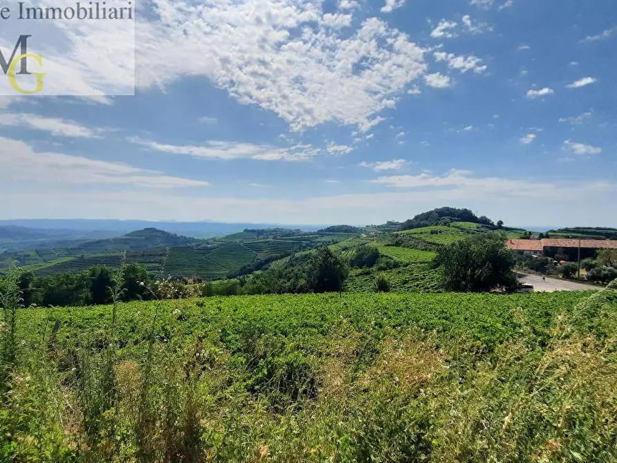 Immagine 3 di Terreno agricolo in vendita  a Soave