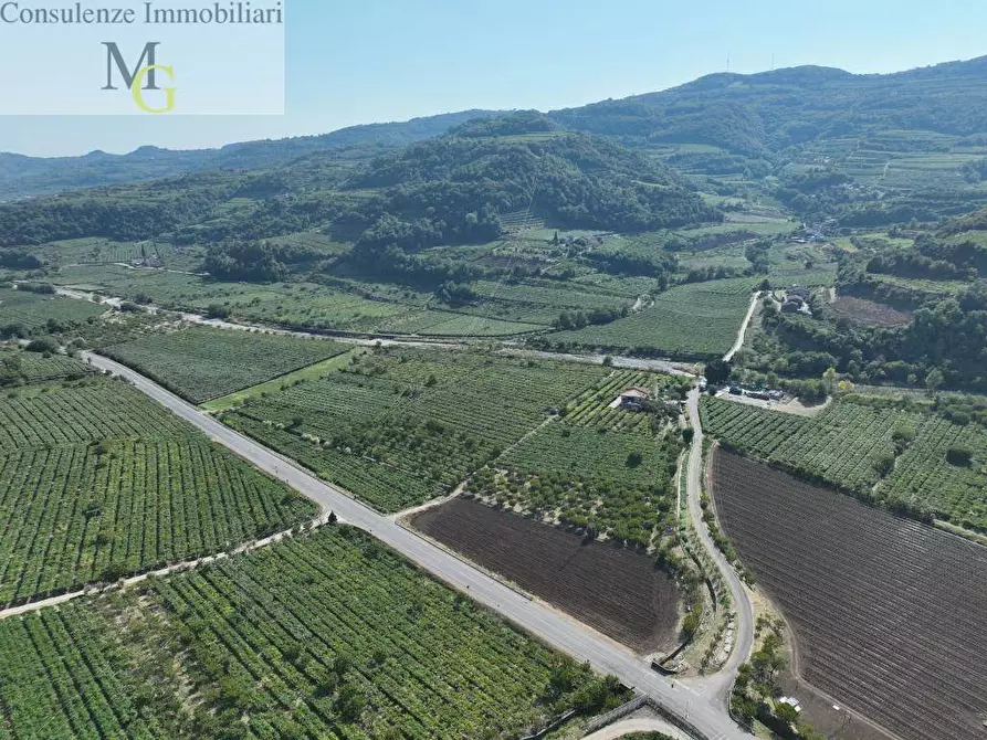 Immagine 1 di Terreno agricolo in vendita  a Montecchia Di Crosara