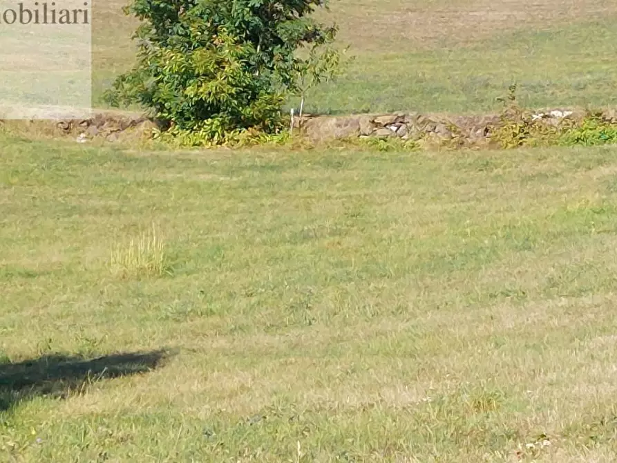 Immagine 2 di Terreno agricolo in vendita  a Vestenanova