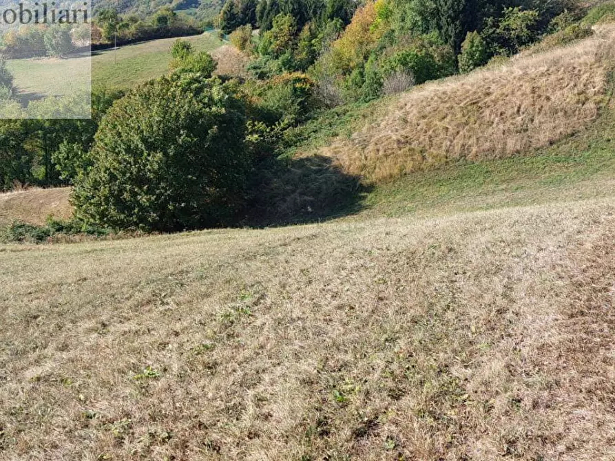 Immagine 3 di Terreno agricolo in vendita  a Vestenanova