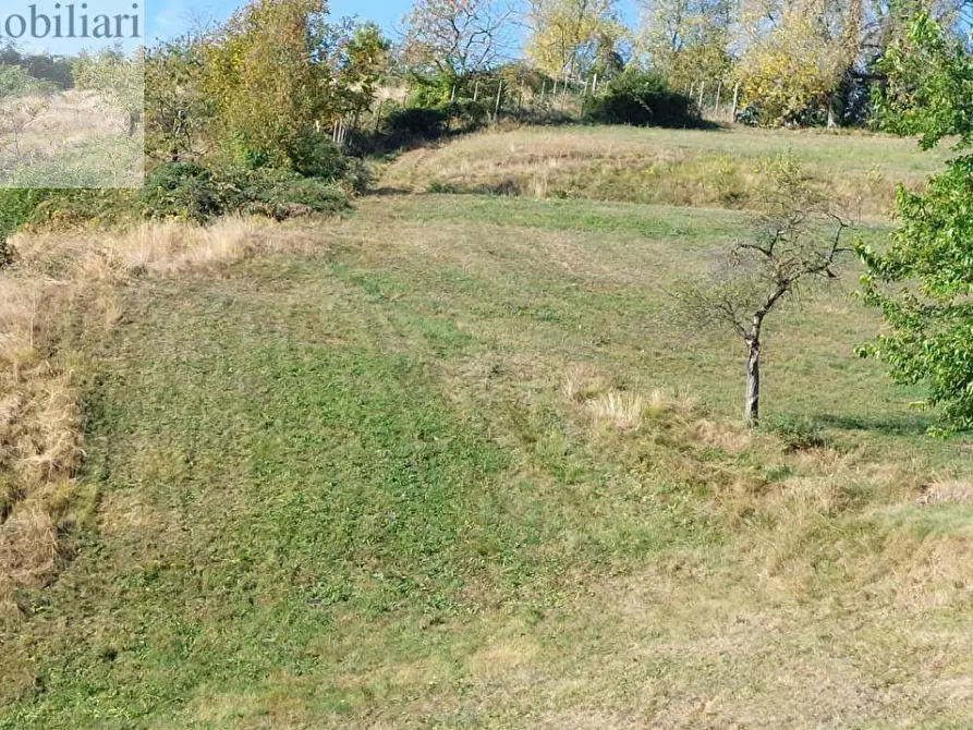 Immagine 4 di Terreno agricolo in vendita  a Vestenanova