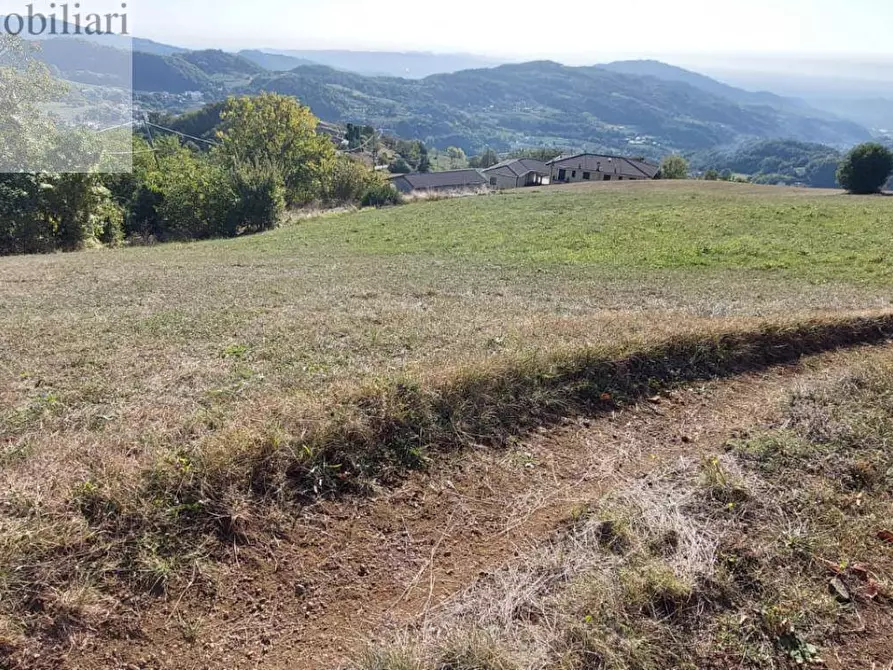 Immagine 5 di Terreno agricolo in vendita  a Vestenanova