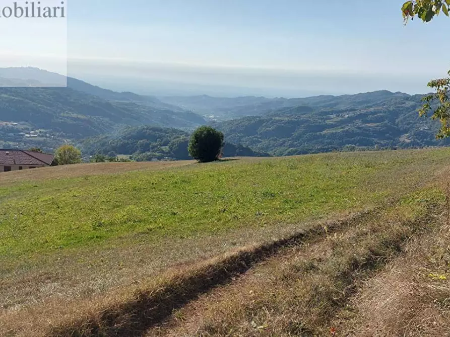 Immagine 6 di Terreno agricolo in vendita  a Vestenanova