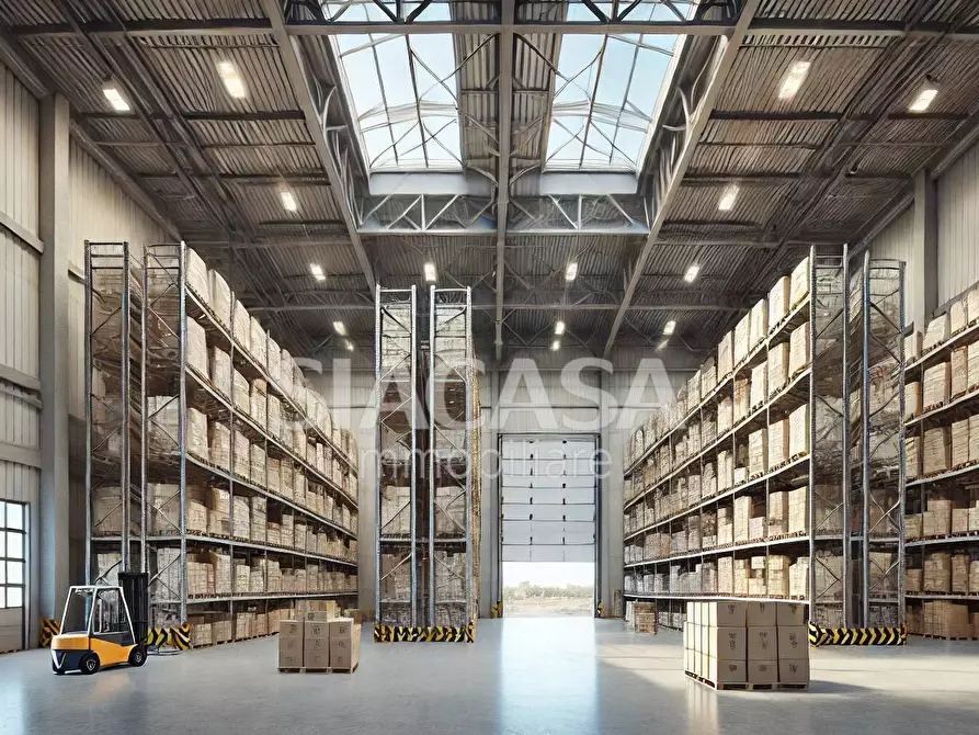 Immagine 3 di Capannone industriale in affitto  a Mezzago