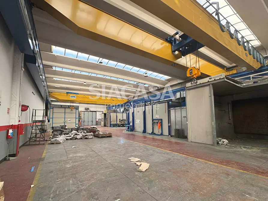 Immagine 14 di Capannone industriale in affitto  a Mezzago