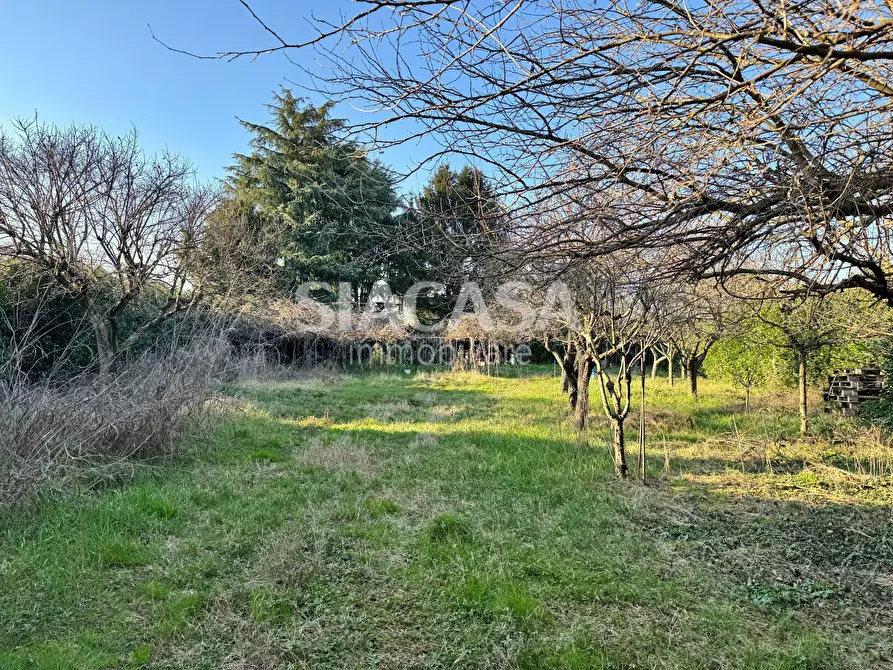 Immagine 5 di Terreno agricolo in vendita  in Via motta a Vimercate