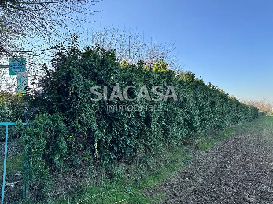 Immagine 6 di Terreno agricolo in vendita  in Via motta a Vimercate