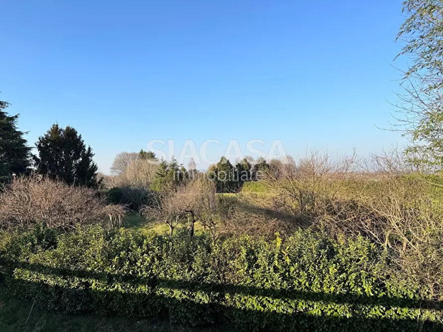 Immagine 7 di Terreno agricolo in vendita  in Via motta a Vimercate