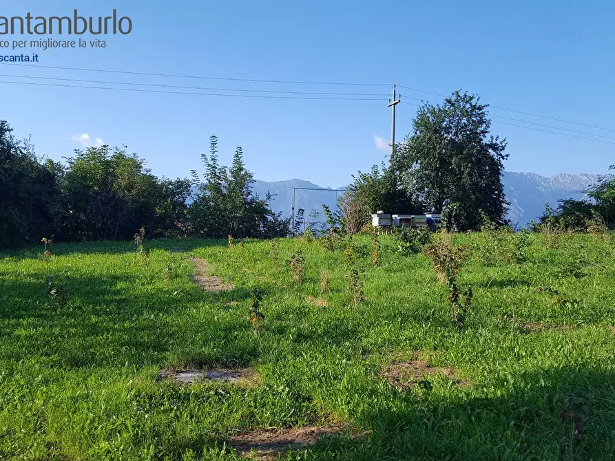 Immagine 1 di Terreno residenziale in vendita  a Tambre