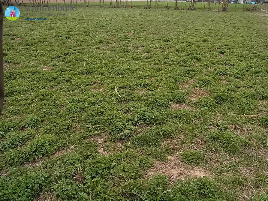 Immagine 3 di Terreno industriale in vendita  a Paese