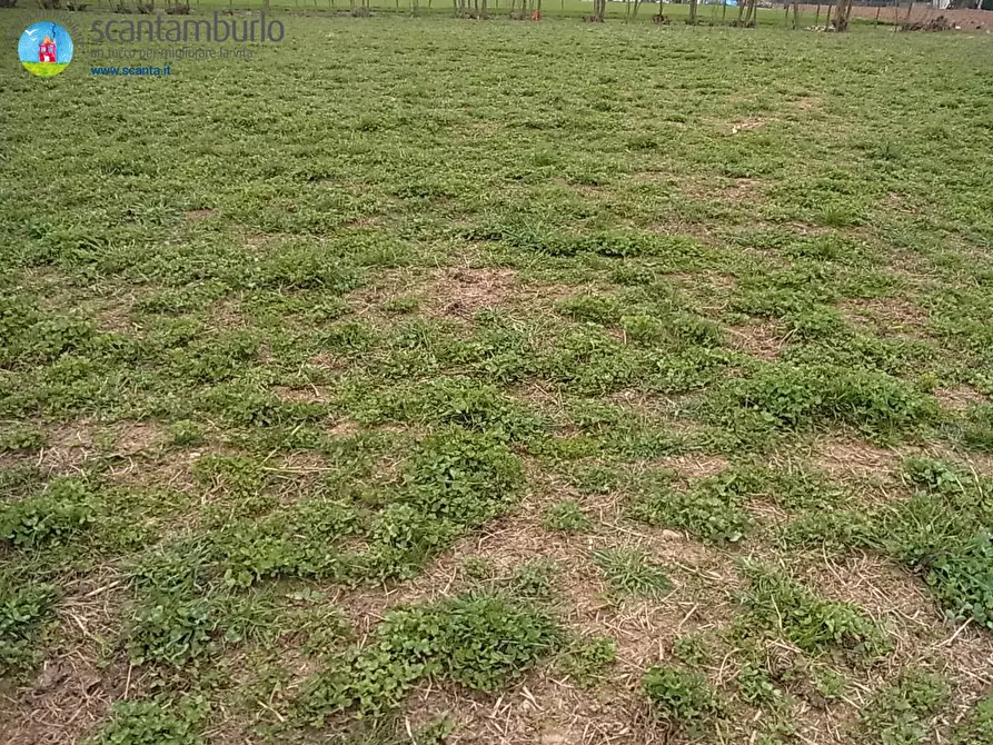 Immagine 4 di Terreno industriale in vendita  a Paese