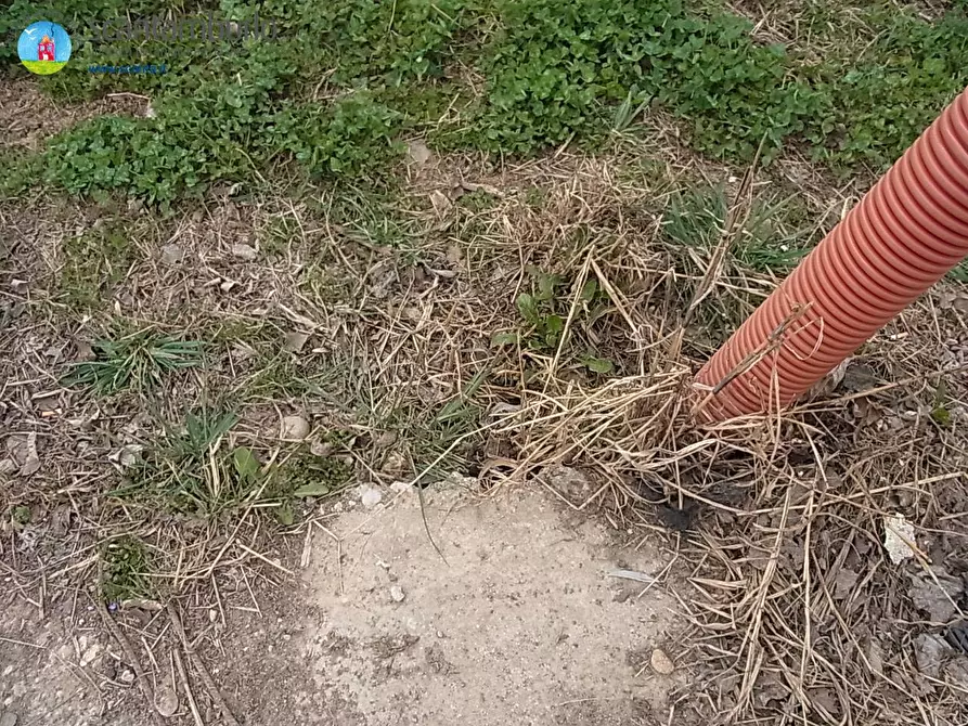 Immagine 5 di Terreno industriale in vendita  a Paese