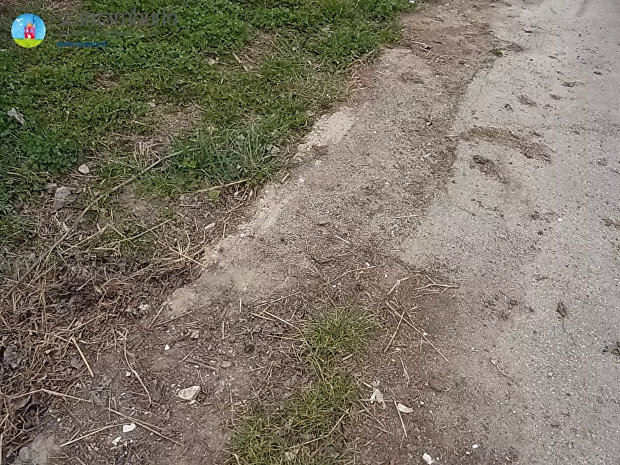 Immagine 6 di Terreno industriale in vendita  a Paese