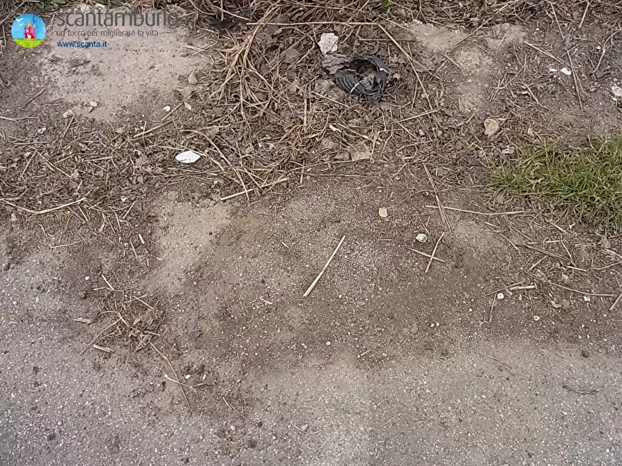 Immagine 7 di Terreno industriale in vendita  a Paese