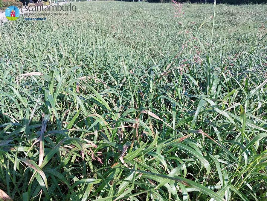 Immagine 1 di Terreno residenziale in vendita  a Ponzano Veneto