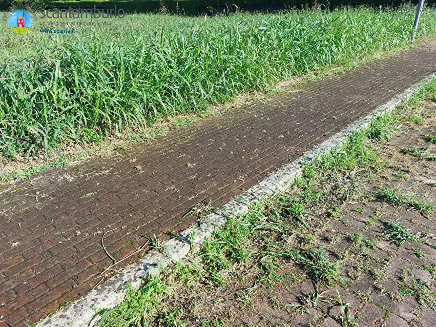 Immagine 3 di Terreno residenziale in vendita  a Ponzano Veneto