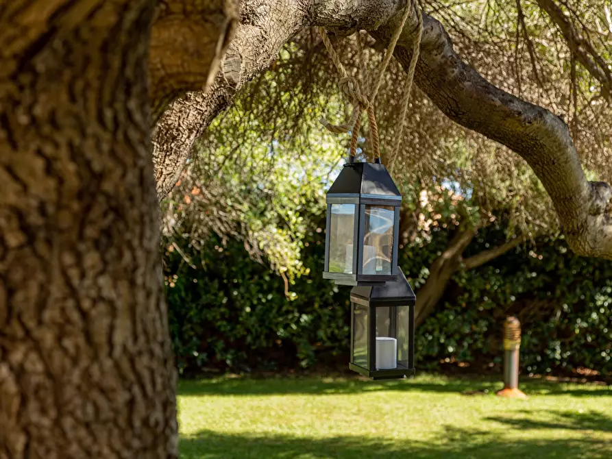 Immagine 20 di Villa in vendita  in Milmeggiu a Olbia