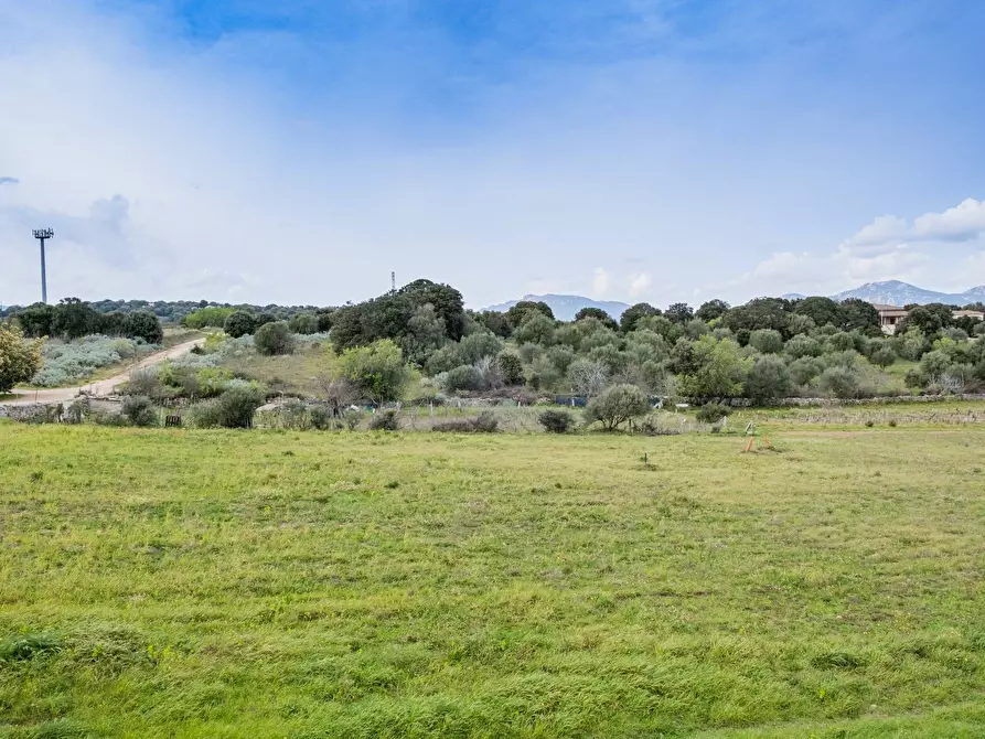 Immagine 28 di Villa in vendita  in Via Decandia a Telti