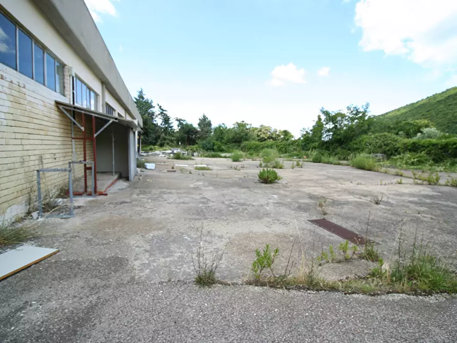 Immagine 9 di Palazzo in vendita  in STRADA CIMINA a Viterbo