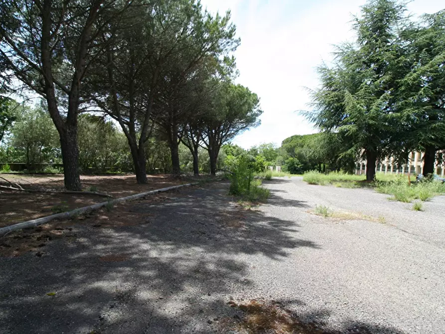 Immagine 16 di Palazzo in vendita  in STRADA CIMINA a Viterbo