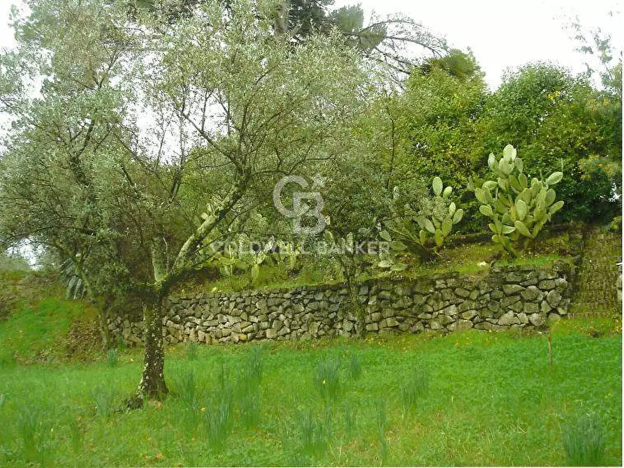 Immagine 1 di Terreno residenziale in vendita  in Via Appia Sud a Velletri