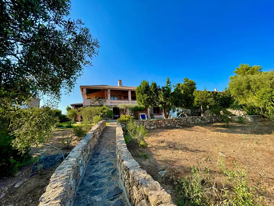 Immagine 20 di Villa in vendita  in Via Sabina a Golfo Aranci