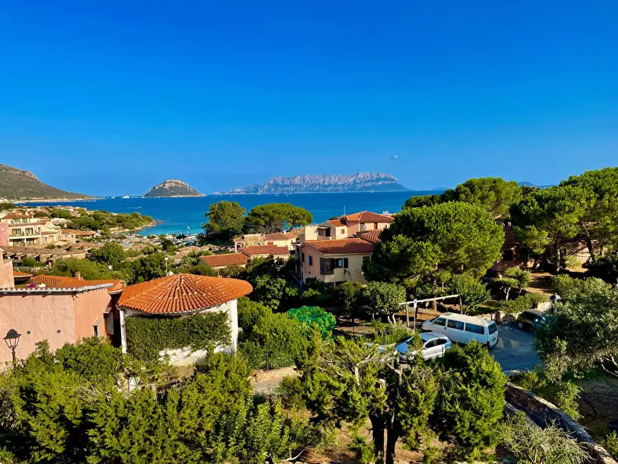 Immagine 23 di Villa in vendita  in Via Sabina a Golfo Aranci