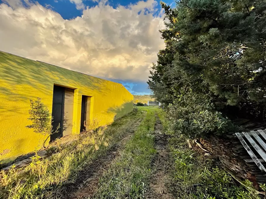 Immagine 8 di Capannone industriale in vendita  in Via Lu mangoni a Olbia