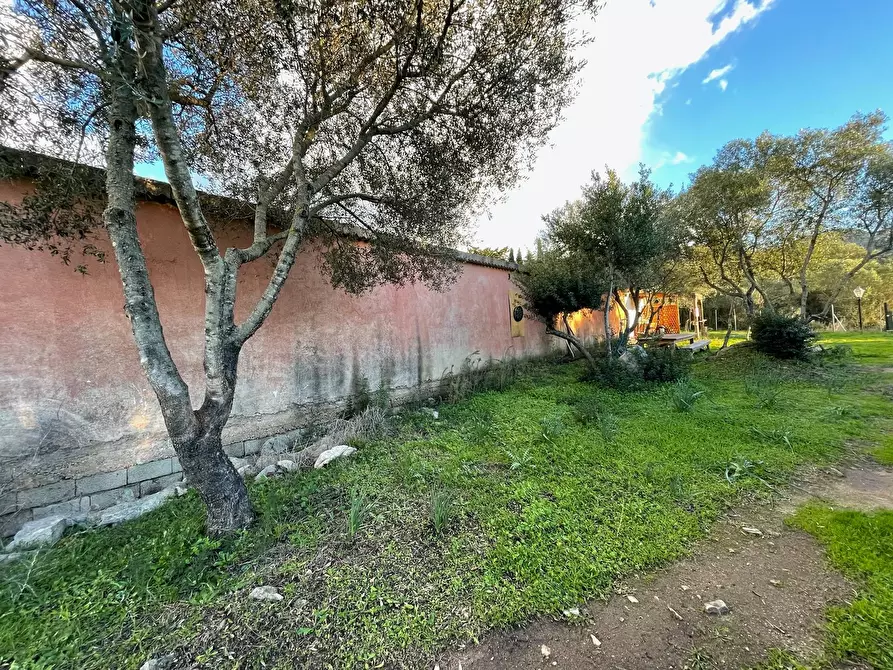 Immagine 9 di Capannone industriale in vendita  in Via Lu mangoni a Olbia