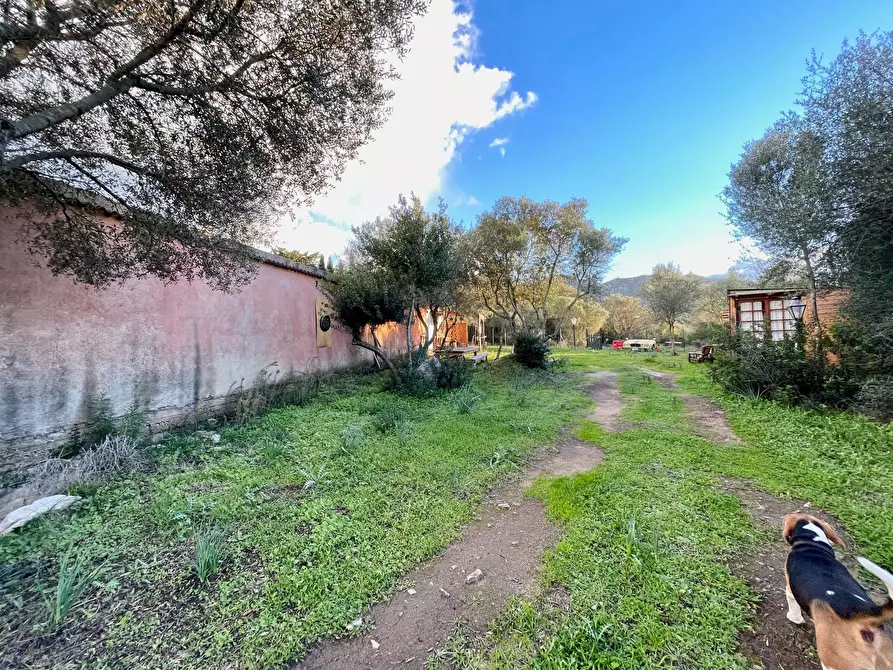 Immagine 10 di Capannone industriale in vendita  in Via Lu mangoni a Olbia